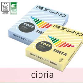 CARTA COPY TINTA A4 80GR 500FG COL.TENUE CIPRIA