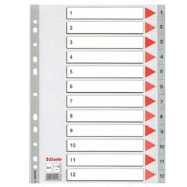 SEPARATORE NUMERICO 1-12 PPL GRIGIO 22,5X29,7CM ESSELTE